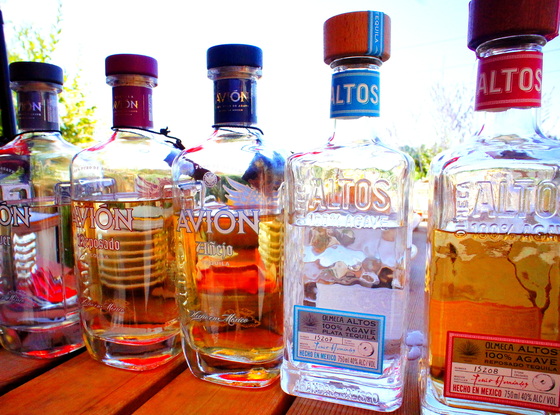 Tequila lineup.JPG
